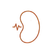 Kidney Support